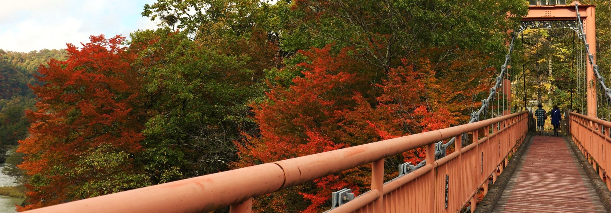 ゆうばり紅葉便2026の写真