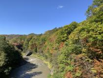 千鳥橋からの風景の画像