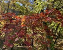 滝の上公園広場の画像