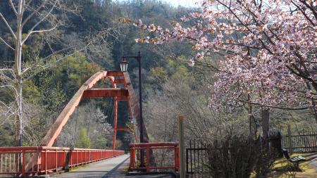 滝の上公園の画像2