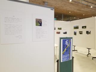 夕張市地域おこし協力隊 卒業記念展の画像