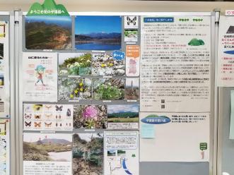 夕張岳の紹介の画像