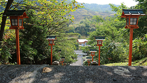 夏の夕張神社