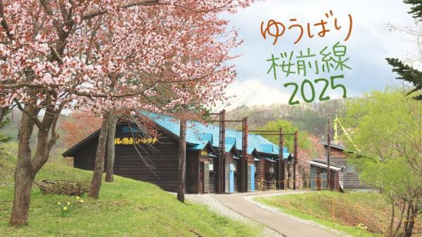 ゆうばり桜前線20252