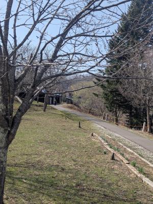 ハンカチひろば04020