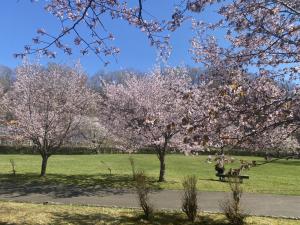 1滝の上公園４
